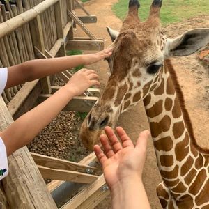 Meet your Posher, Laura